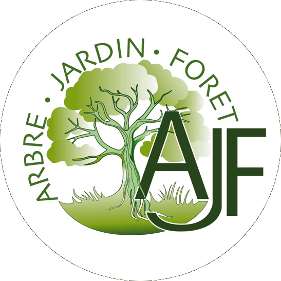Arbre Jardin Forêt